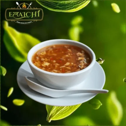 Chicken Hot and Sour Soup